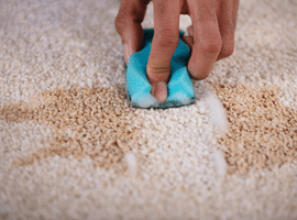 Çay Lekesi Çıkarma